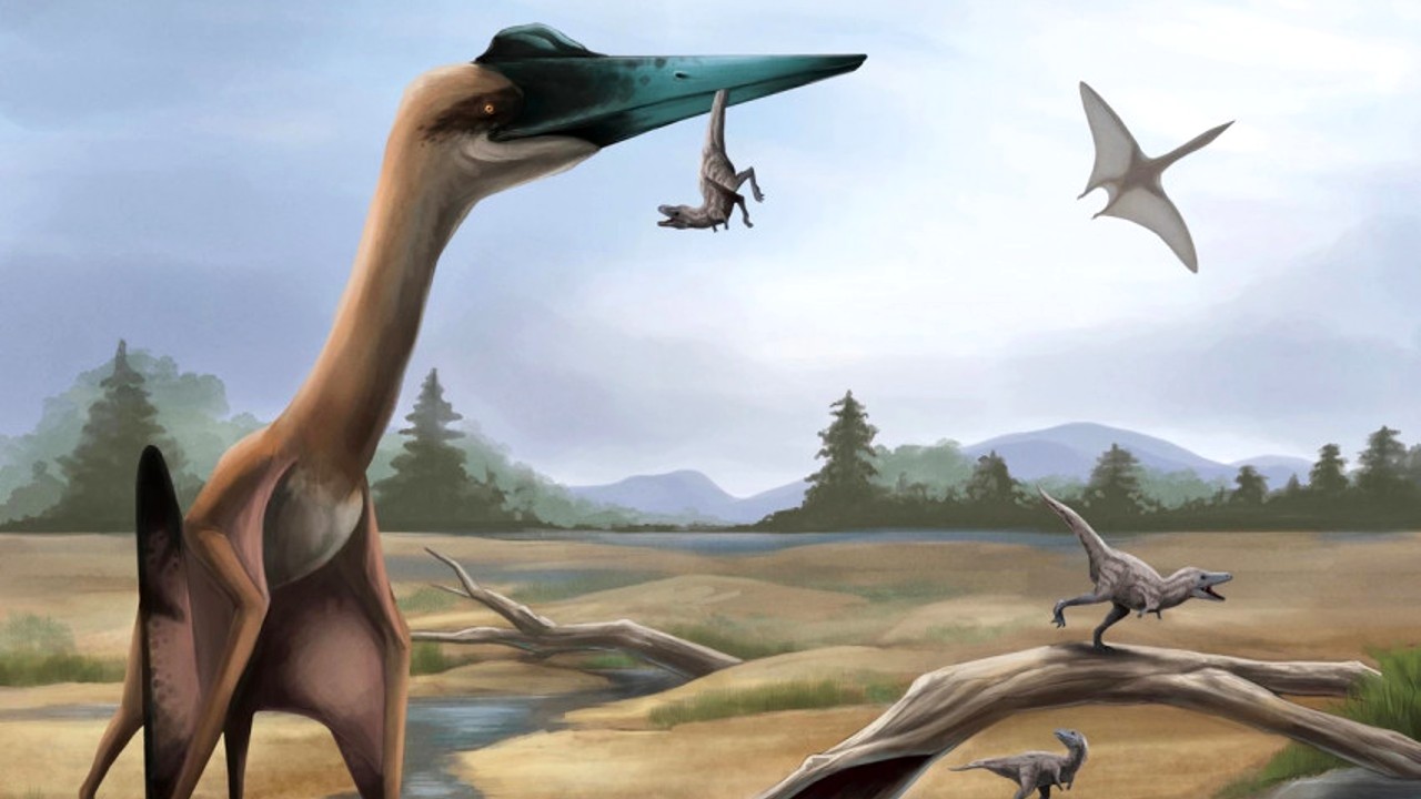 Quetzalcoatlus