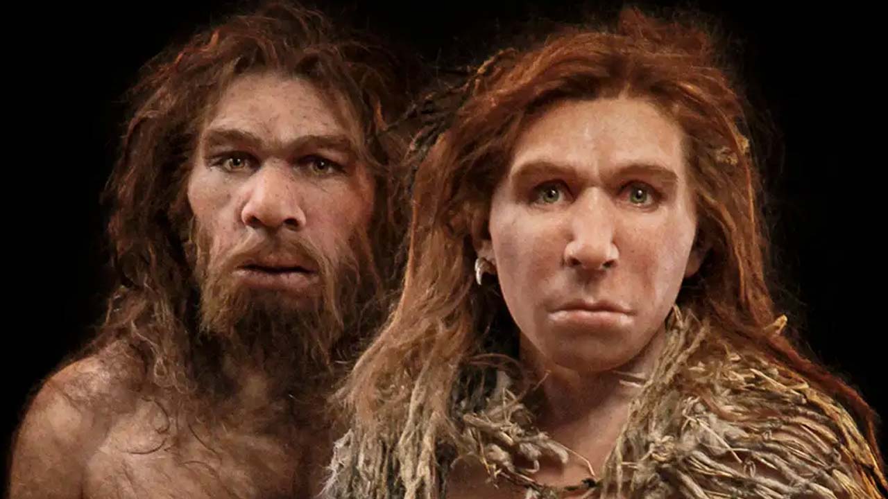 neandertal