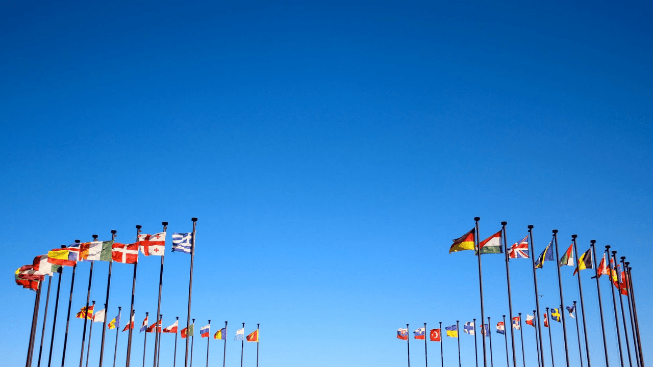 OECD üye ülkeler bayrakları