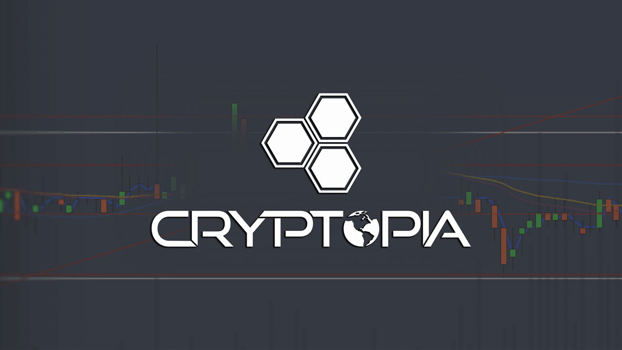 cryptopia borsası