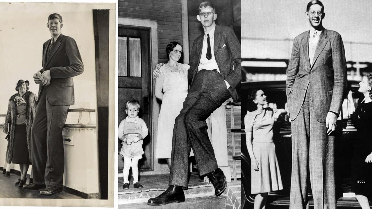 robert wadlow