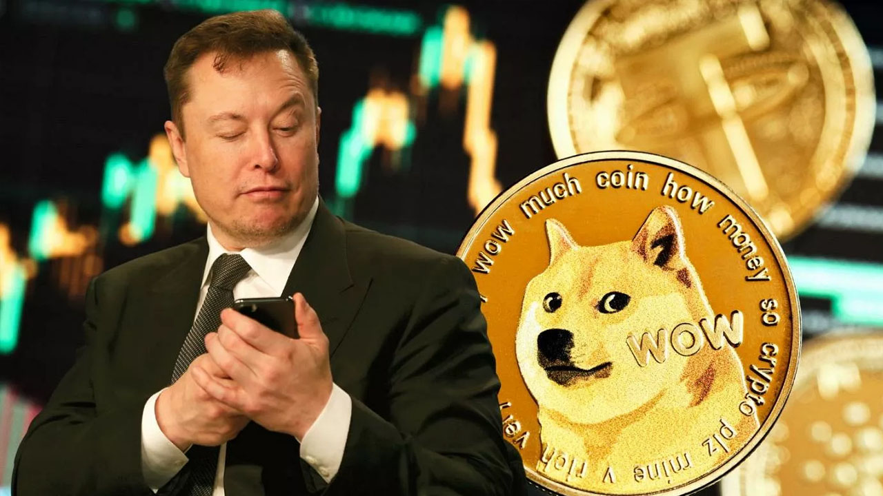 Dogecoin ve Elon Musk