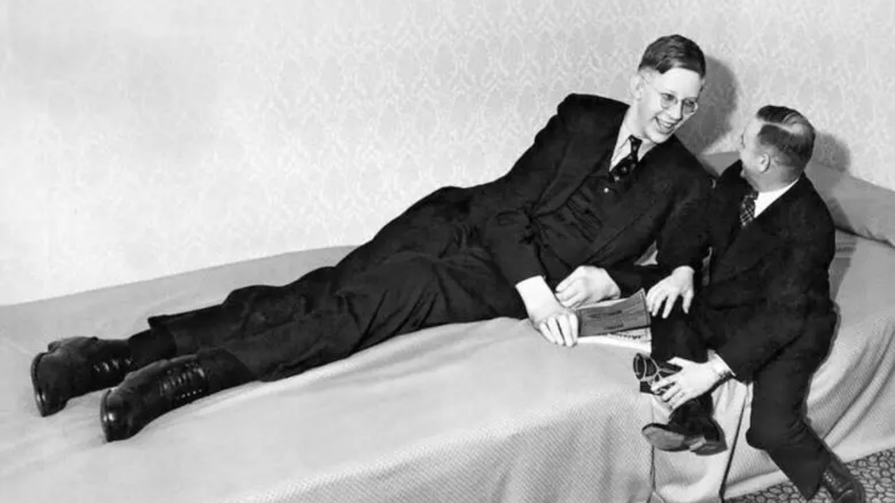 robert wadlow