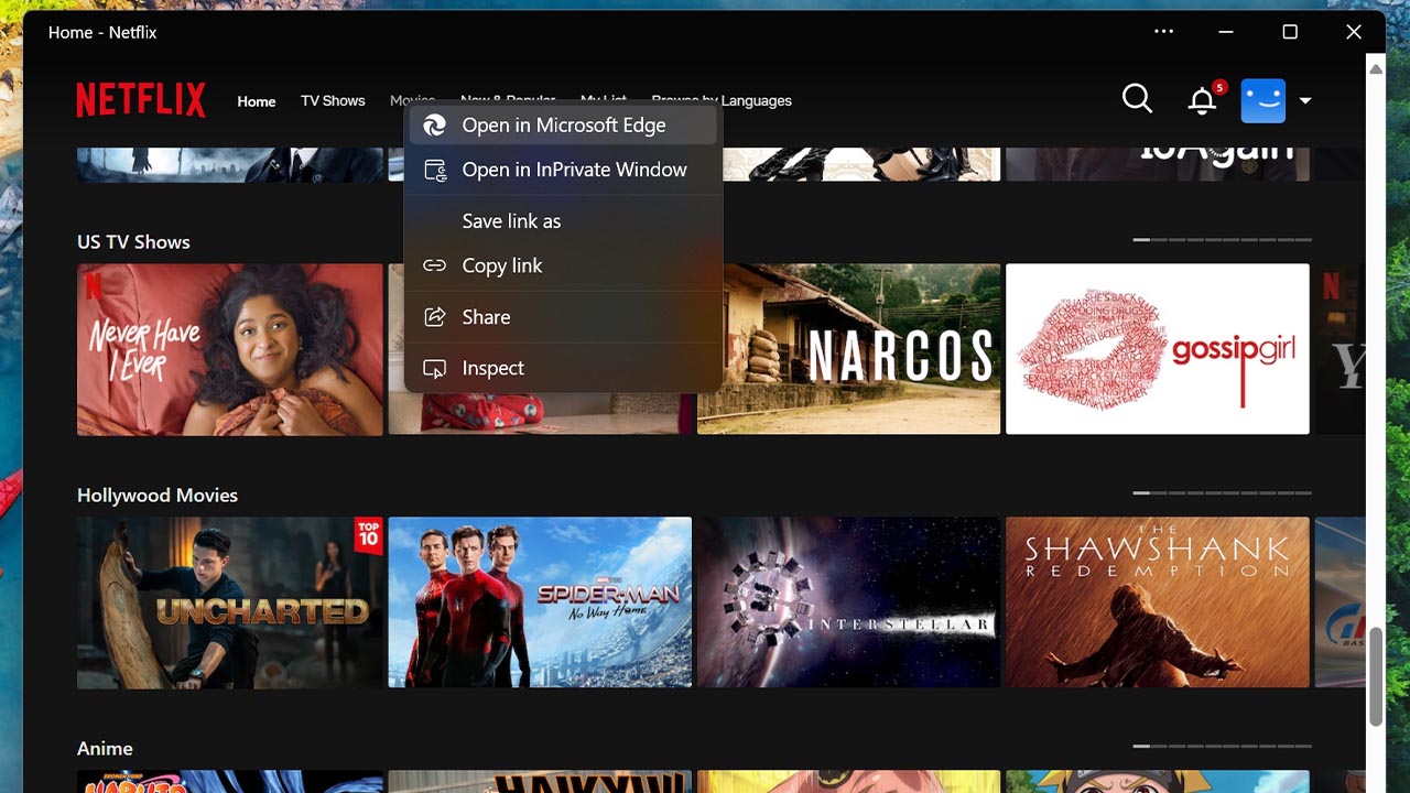 Netflix windows uygulama