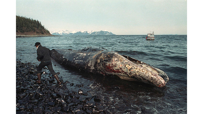 exxon valdez