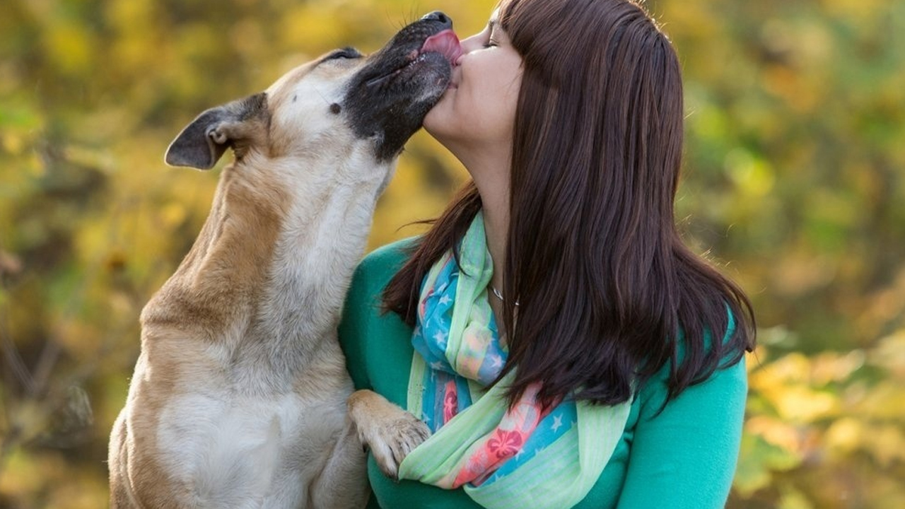 köpek öpmesi