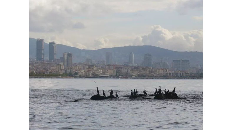 vordonisi adası