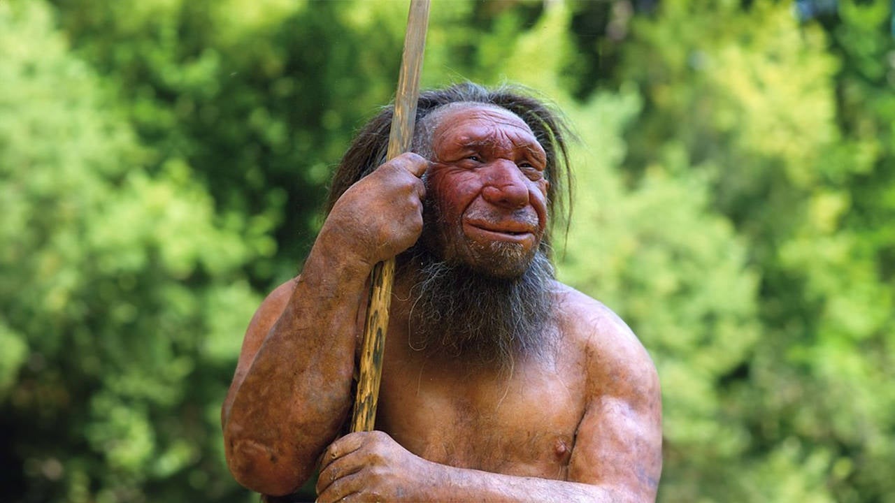 neandertal