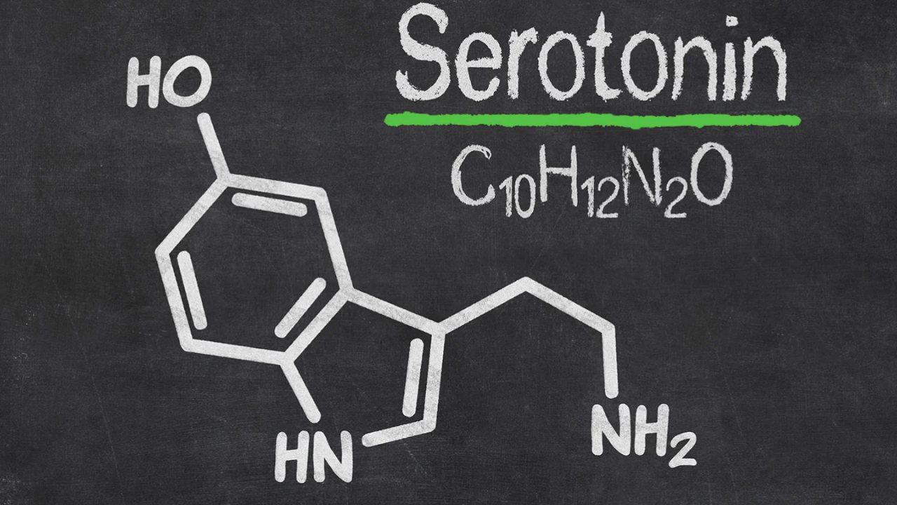 serotonin