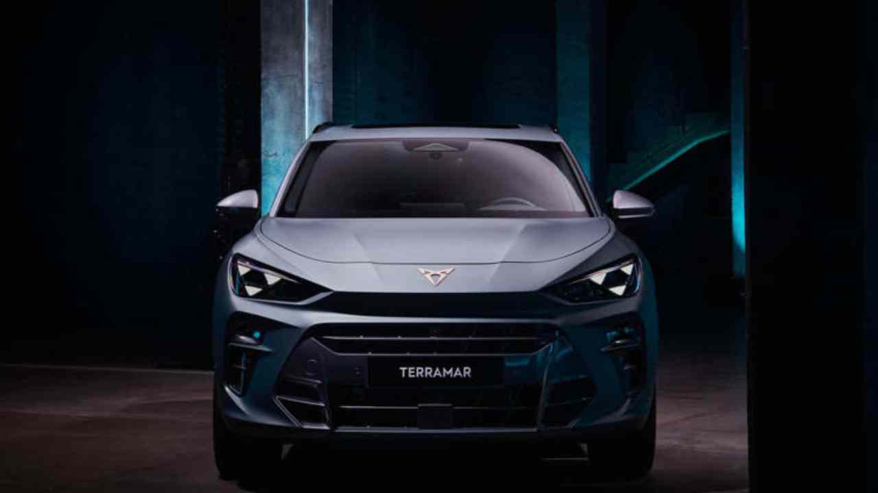 cupra terramar