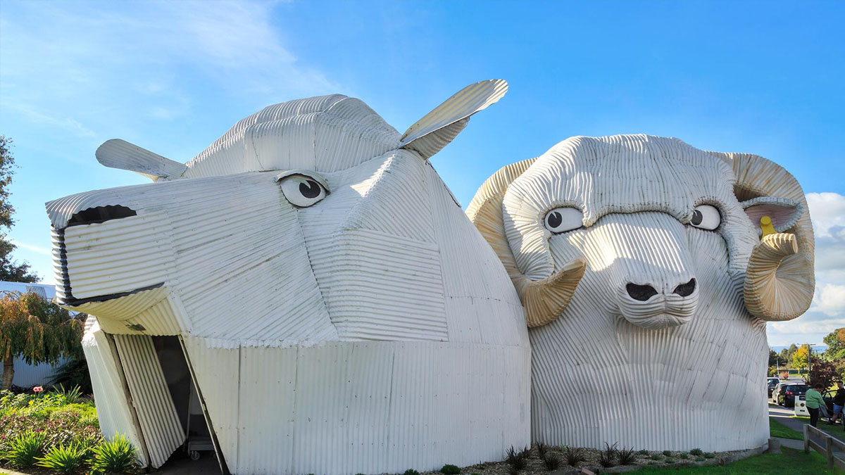 Sheep and Dog Buildings yeni zellanda