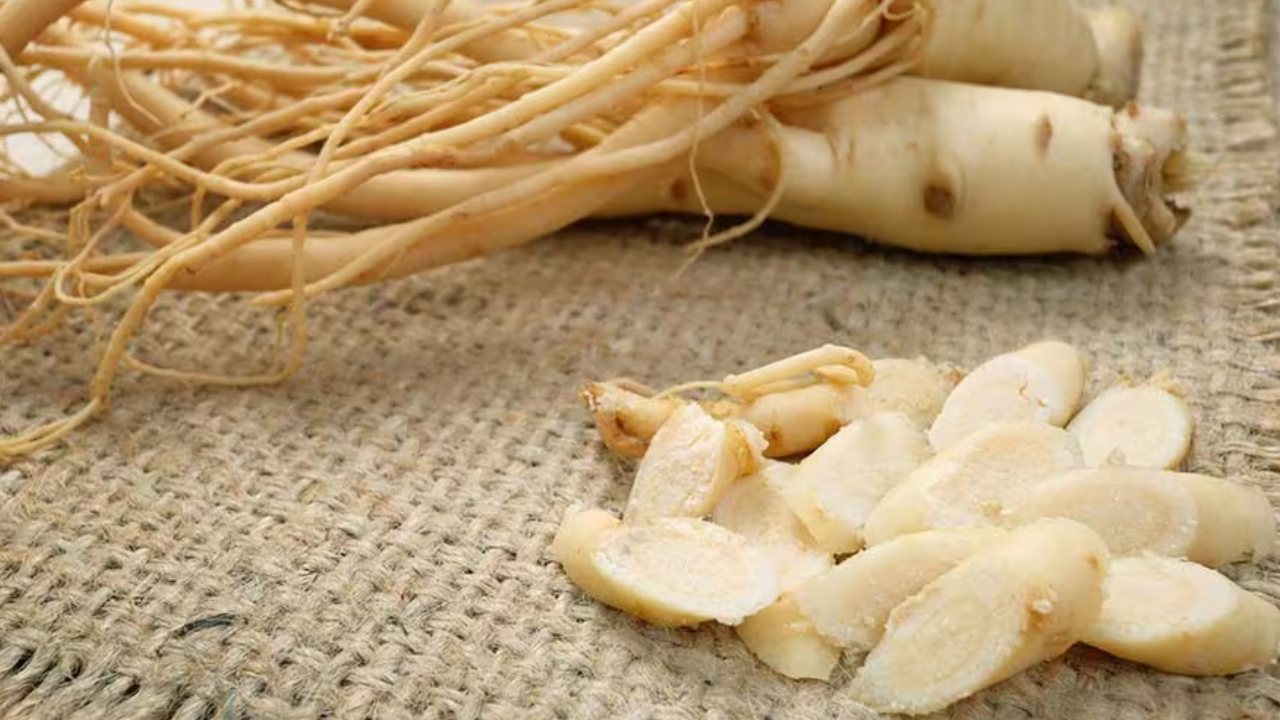 ginseng