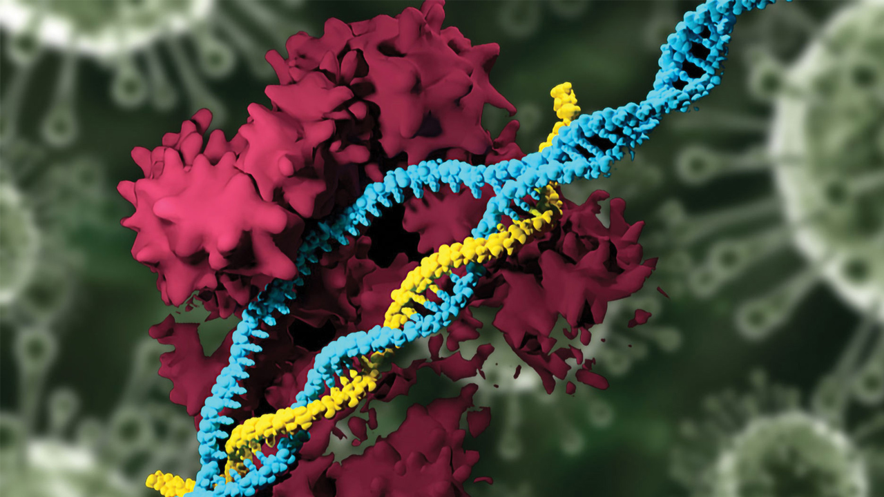 CRISPR-Cas9