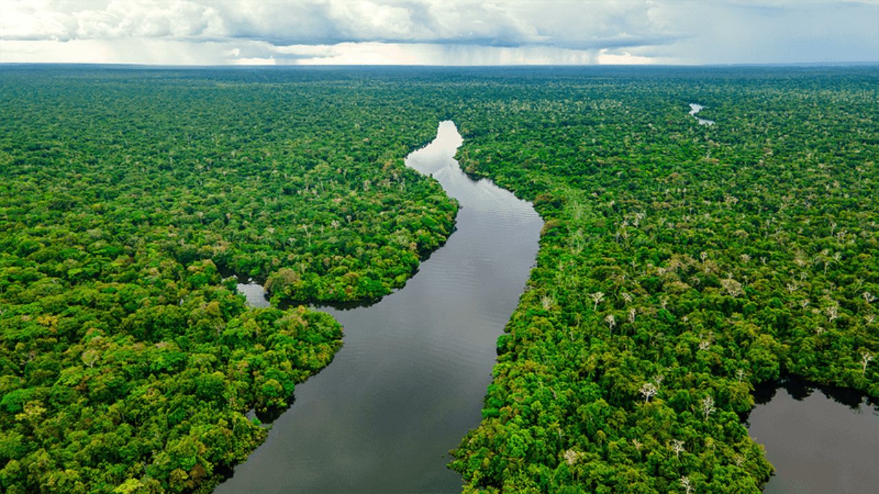 amazon nehri