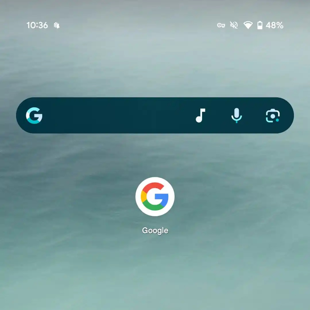 Google Arama widget