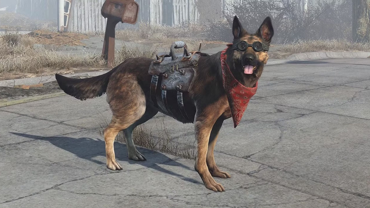 dogmeat