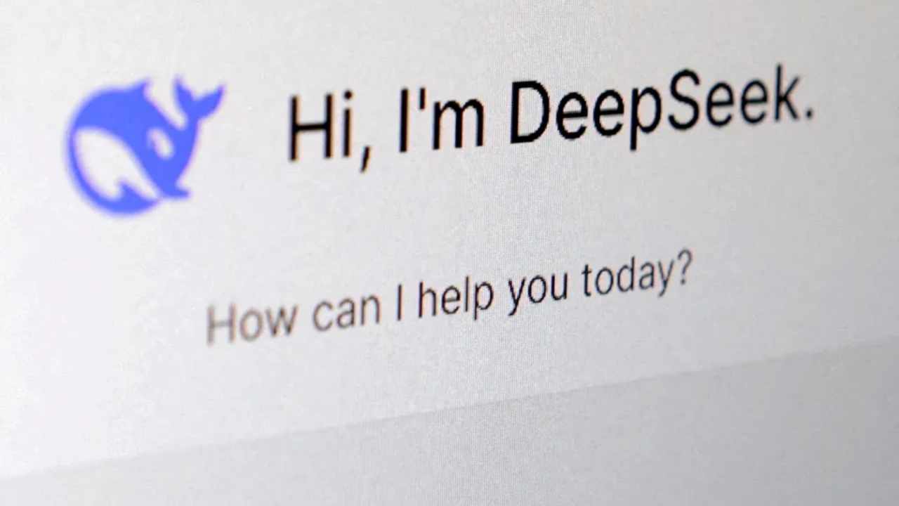 deepseek erişim kısıtlaması