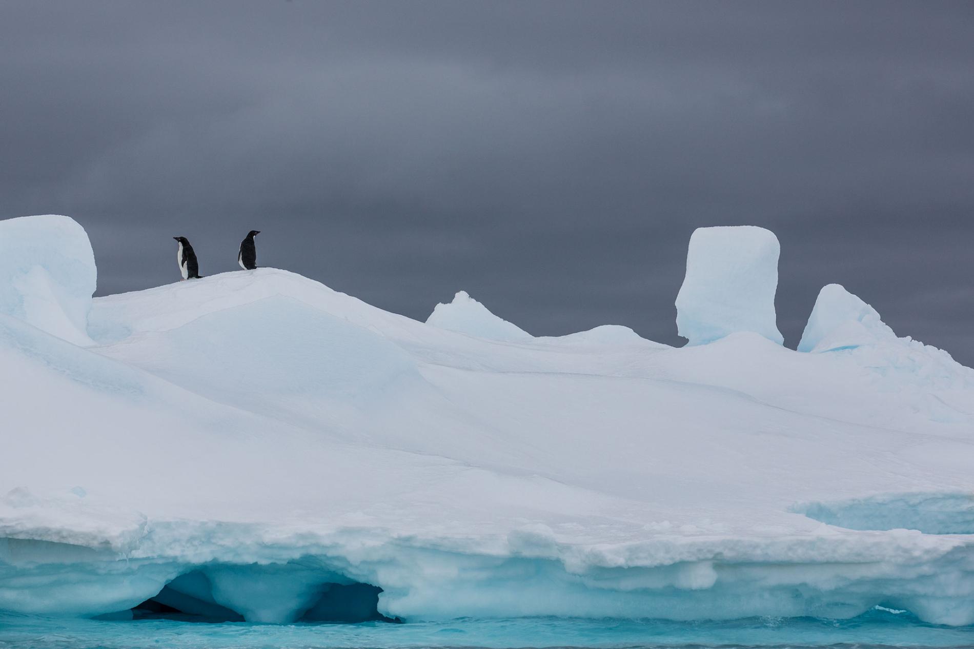 Christmas in Antarctica