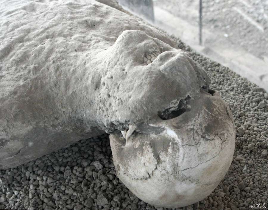 Pompeii Felaketinden Kalan Bedenlerin Aci Verici 14 Fotograf