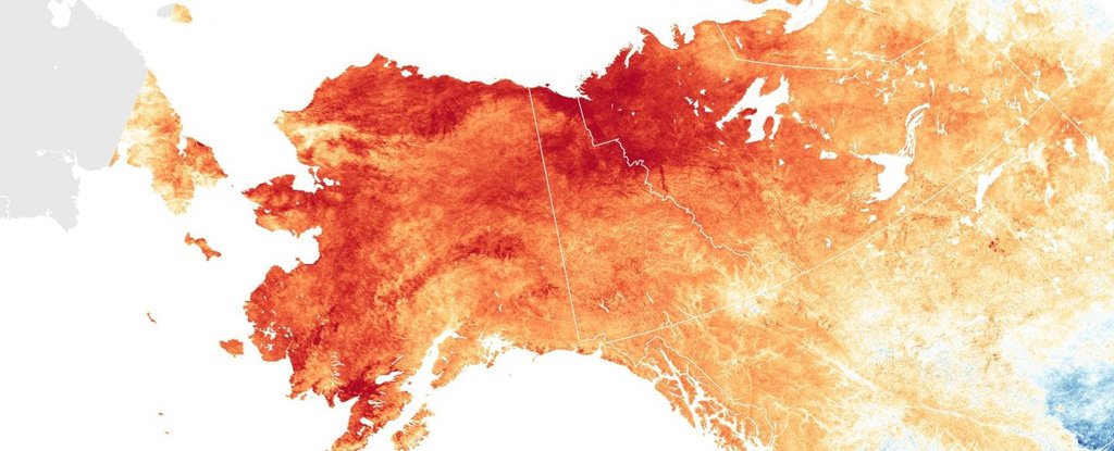 Alaska'da Sıcaklık, Can Kayıplarına Sebep Oluyor