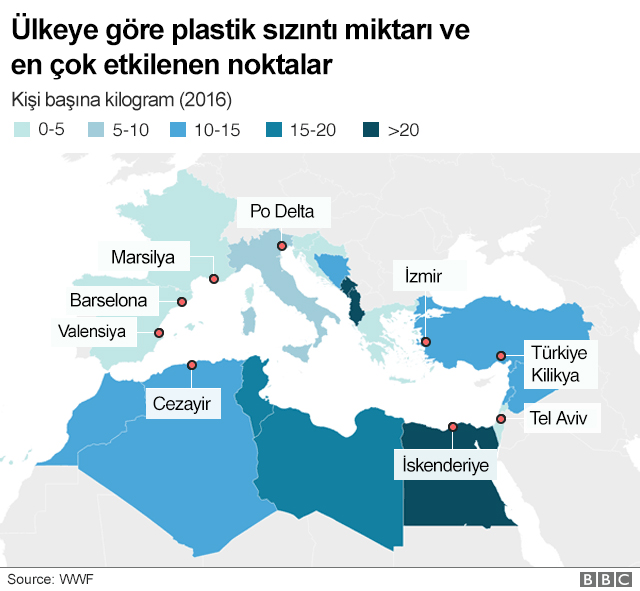 Doğal Hayatı Koruma Vakfı Akdeniz Kirlilik Raporunu Açıkladı