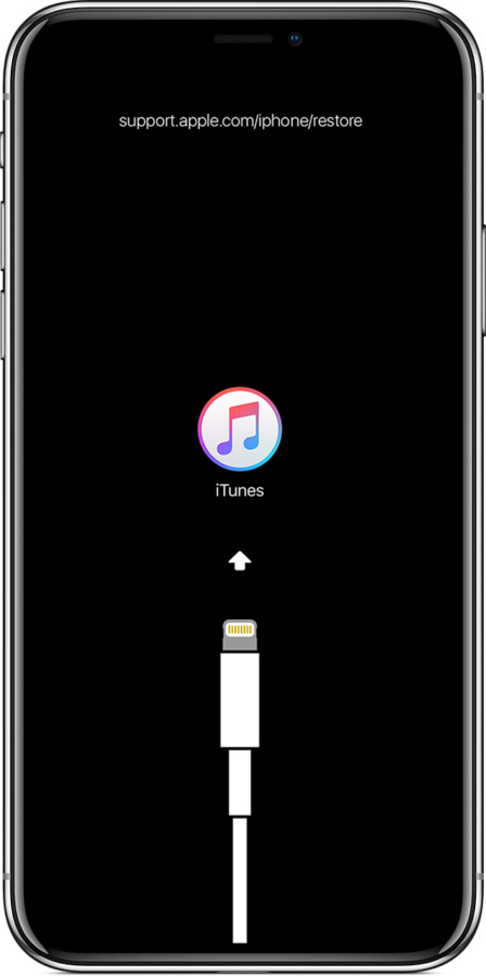 İddia: iPhone 11 USB-C Şarj Soketine Sahip Olabilir