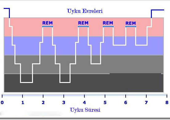 Ertele Tuşunu Kullanmak Sağlıklı mı?