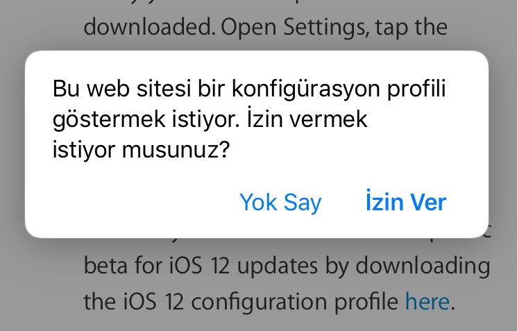 iOS 13 Public Beta Çıktı: İşte Adım Adım Kurulum Rehberi