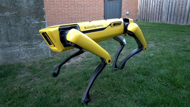 dört bacaklı robot