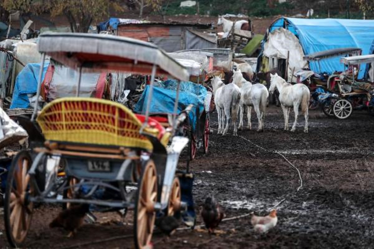 Adalar’daki Elektrikli Taşımayı Yapacak Kurum Belli Oldu