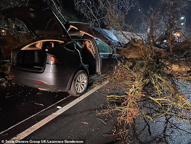 Tesla Model X, Bir Aileyi Fırtınada Devrilen Ağaçtan Son Anda Kurtardı