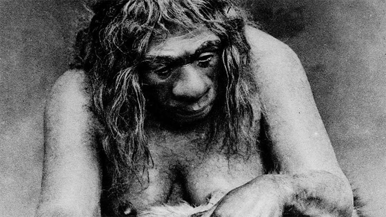 neandersova