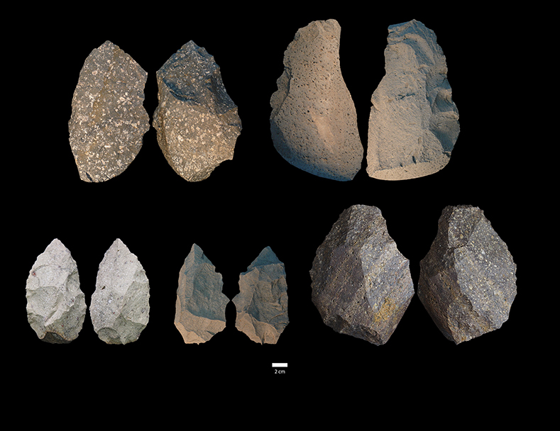 Homo Erectus kafatası ve alet