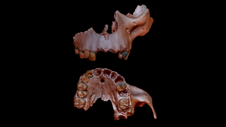 Homo antecessor ilk insan türü