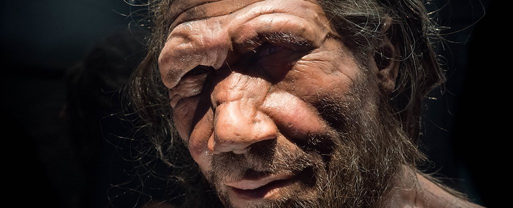 Neandertallerin Annelerinin Yaşlı, Babalarının Genç Olduğunu Gösteren Araştırma