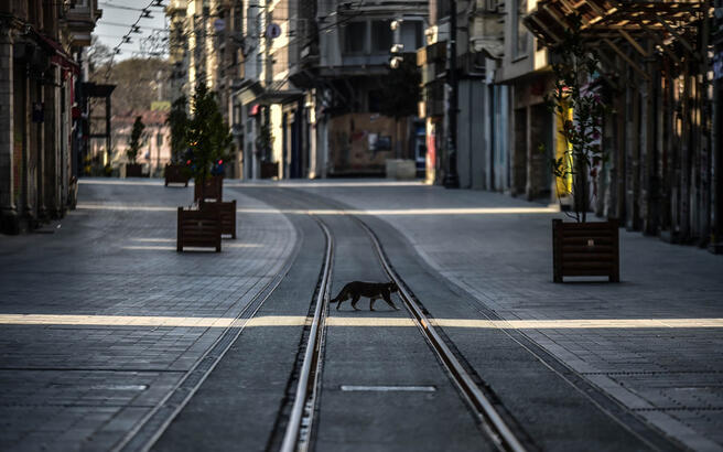 Koronavirüs Vaka Sayısı Sıfıra İnen İllerde Tersine Karantina Uygulanabilir