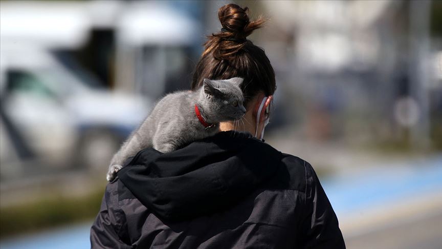 Birleşmiş Milletler, Hayvanlardan İnsanlara Bulaşan Hastalıkların Risk Haritasını Çıkaracak