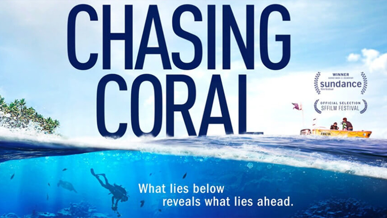 Chasing Coral