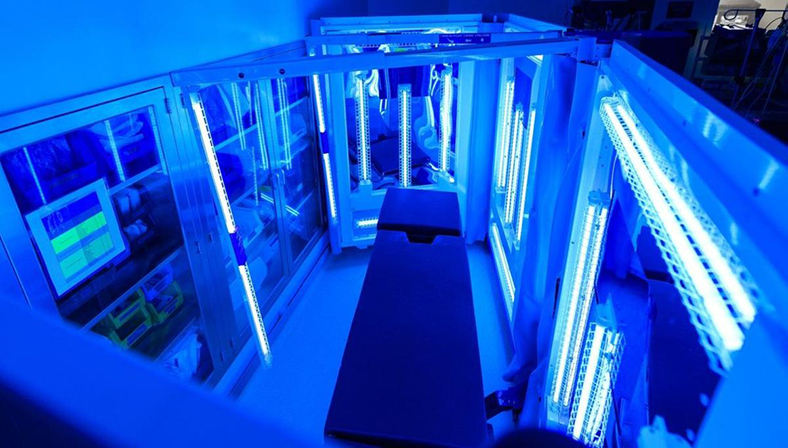 UV LED