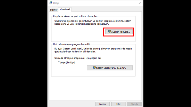 windows 10 türkçe yapma