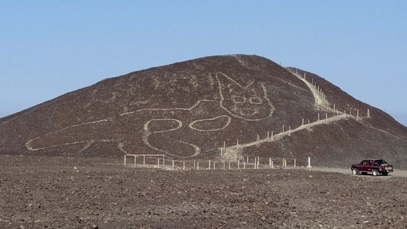 Peru Da Colde 2000 Yillik Dev Kedi Figuru Cizimi Bulundu