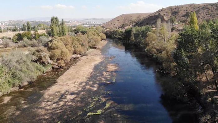 Kızılırmak, Kuruma Tehlikesiyle Karşı Karşıya: Toplu Balık Ölümleri Yaşanıyor