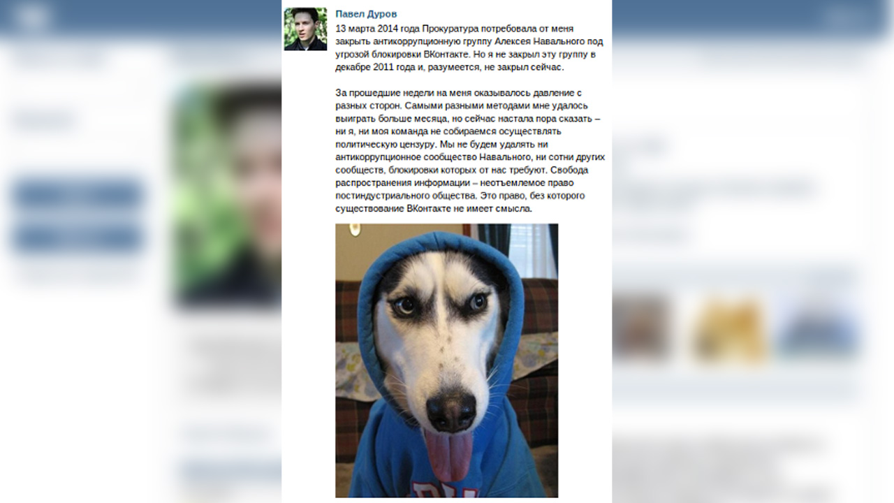 pavel durov köpek gönderisi