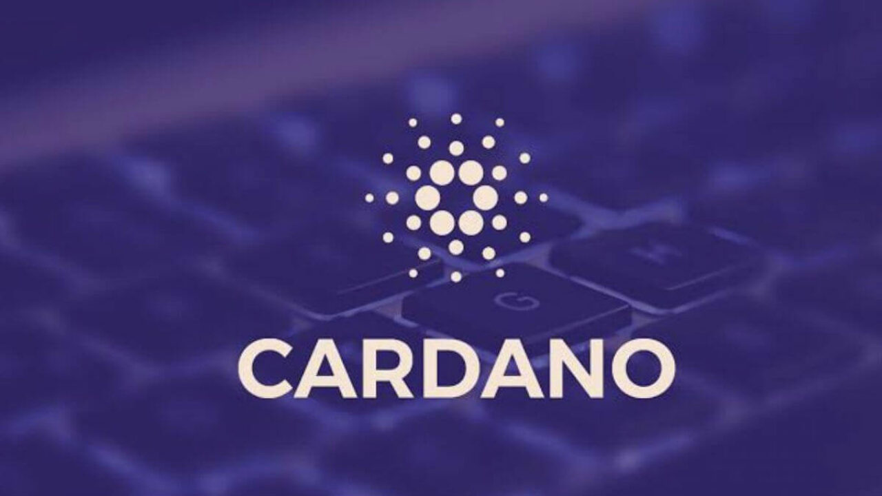 1 Mart'ta Gerçekleşecek Cardano Mary Hard Fork'u