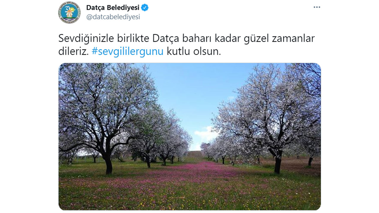 Datça Belediyesi, Bir Tweetini NFT Olarak Satışa Çıkardı