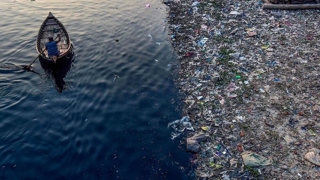 Küresel Isınmanın Sorumlusu Gösterilen İnekler, Plastik Atıklardan Kurtuluşun Anahtarı Olabilir