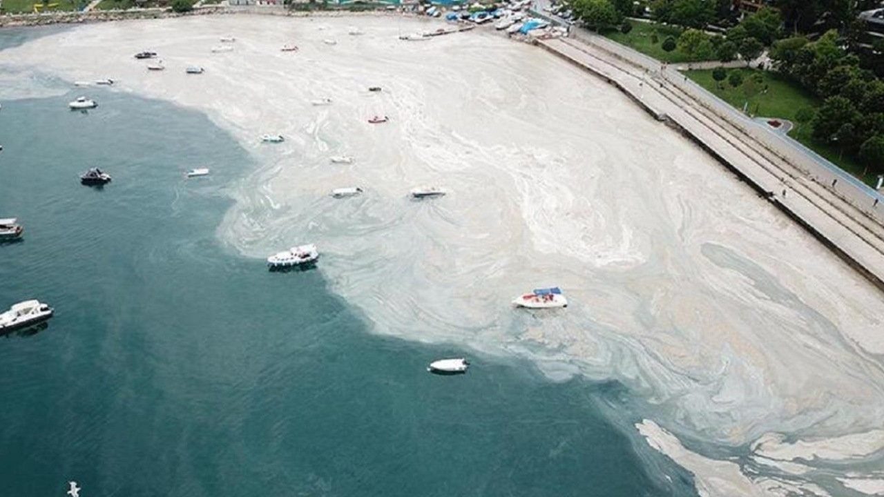 Marmara Denizi’ni Etkisi Altına Alan Müsilajla İlgili Dikkat Çeken Uyarı: Diğer Denizlerimizde de Görülebilir, Tekrar Etme Riski Çok Yüksek