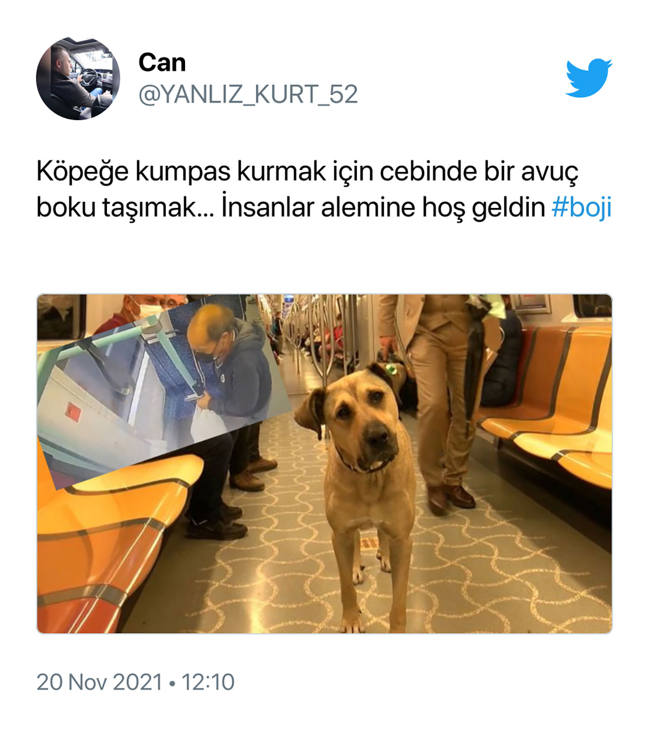 İBB’nin Fenomen Köpeği Boji’nin Tramvaya Pislediği İddiası Yalanlandı: İnsan Eliyle Bırakıldı