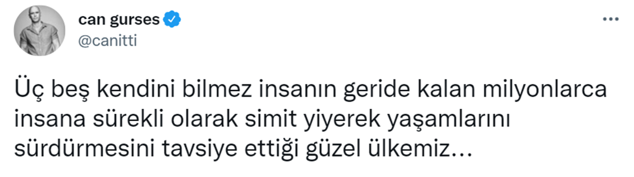 Hülya Avşar Twitter