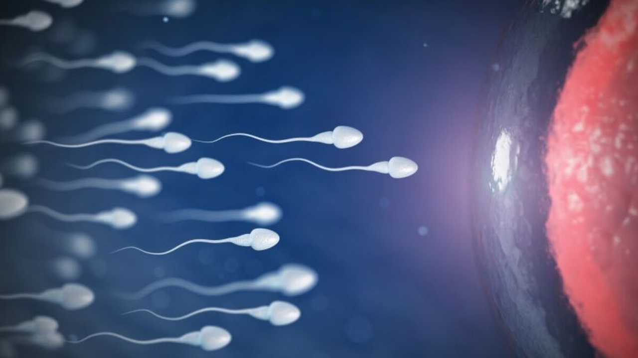 Hava Kirliliğinin Sperm Kalitesini Olumsuz Bir Şekilde Etkilediği Ortaya Çıktı